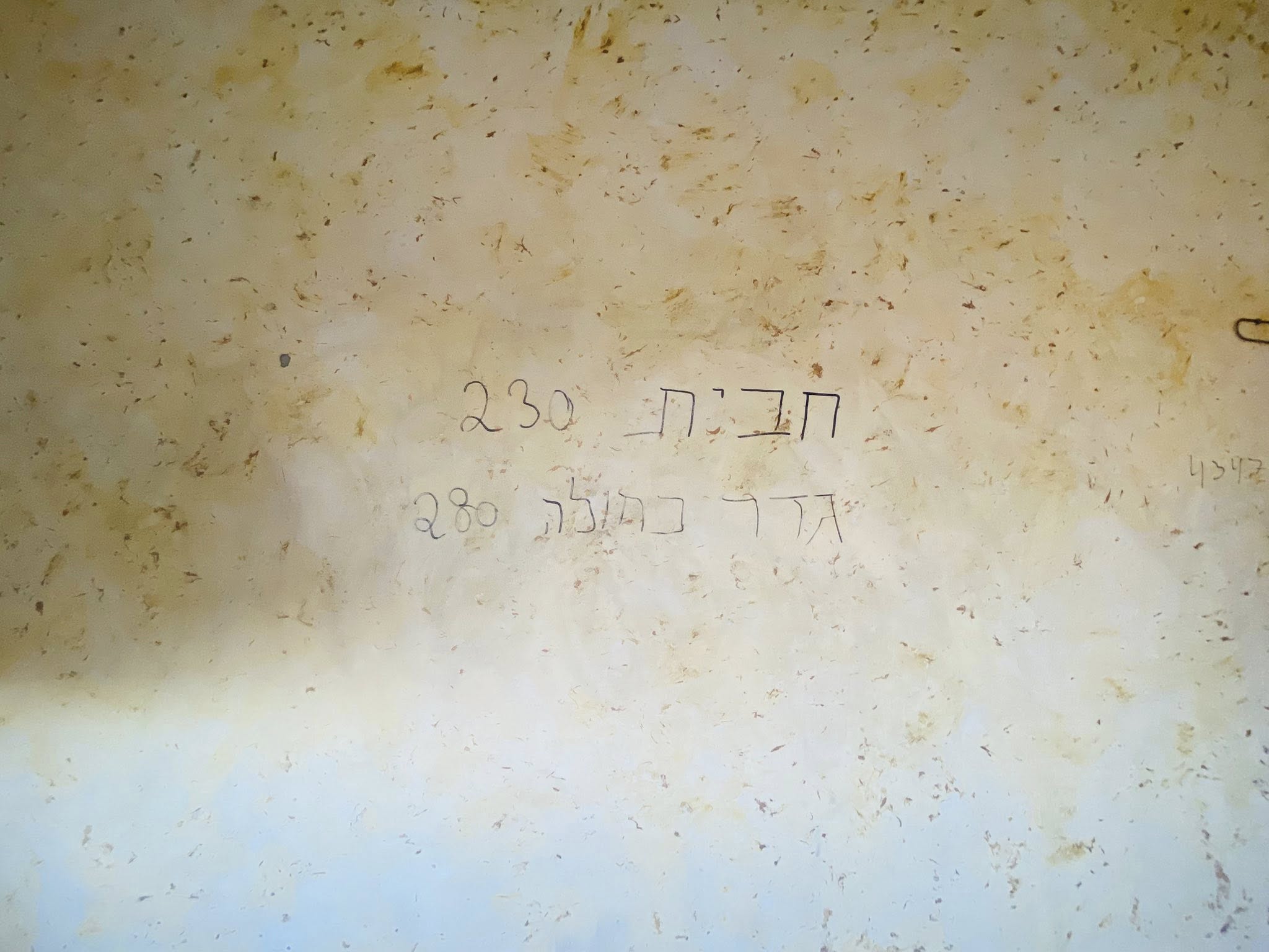 image8